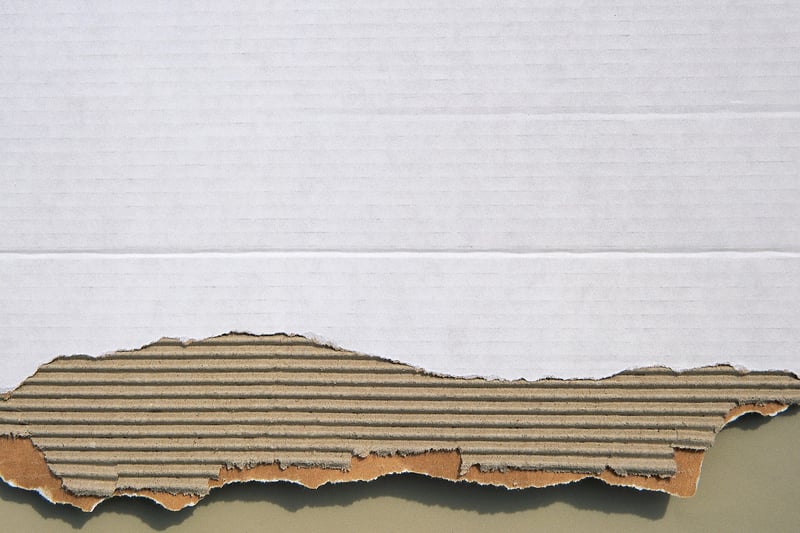 Cardboard Creations